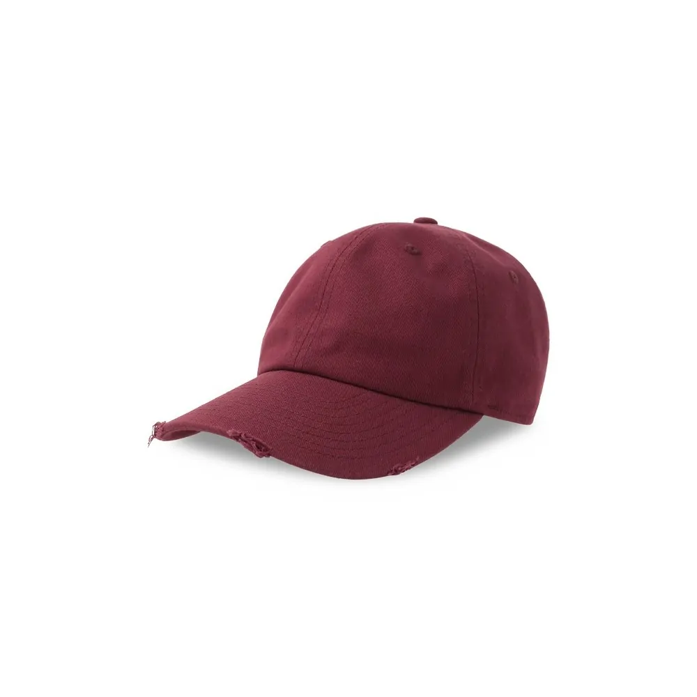 Φωτογραφία από S-Dad Hat Destroyed - Εξάφυλλο