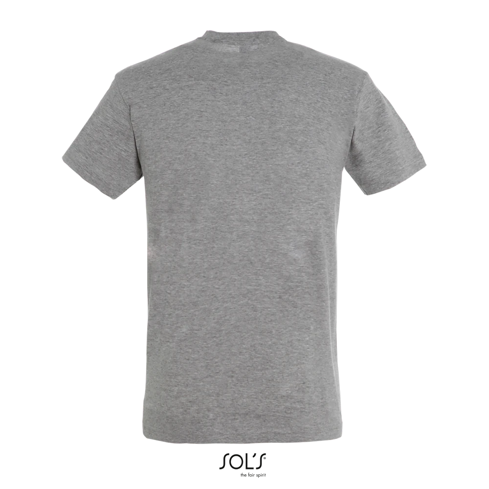 Φωτογραφία από πίσω από Regent 4-5XL - Unisex T-shirt σε χρώμα Grey Melange