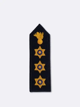 astynomikos_dieythintis