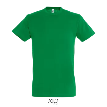 Φωτογραφία από μπροστά από Regent 3XL - Unisex T-shirt σε χρώμα Kelly Green