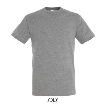 Φωτογραφία από μπροστά από Regent 4-5XL - Unisex T-shirt σε χρώμα Grey Melange
