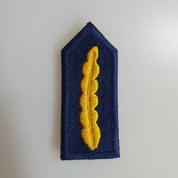 patch-anwtatwn-01.webp_1