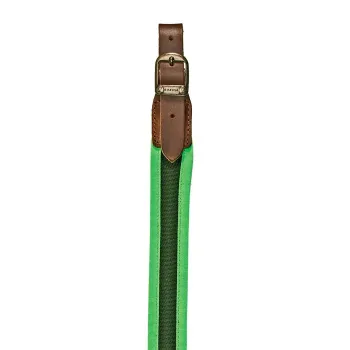 Εικόνα Αορτήρας Όπλου Rsr R2233 σε χρώμα Green