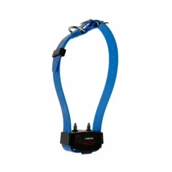 Εικόνα Canicom 200/800/1500 Δέκτης (Blue)